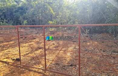 Imagem 3: FAZENDA À VENDA - 193 HECTARES - INIMUTABA MG