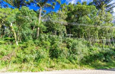 Imagem 4: TERRENO NA VILA SUZANA. 1.122m² de Área