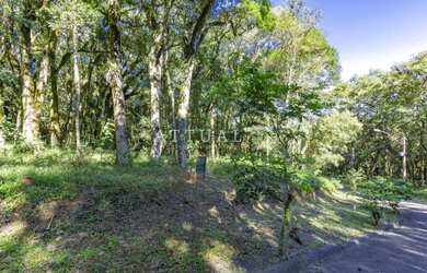 Imagem 5: TERRENO EM CONDOMÍNIO COM INFRAESTRUTURA