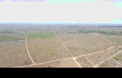 Imagem 6: Oportunidade Vende-se uma excelente fazenda de 2000 hectares