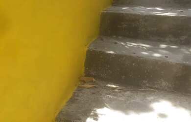 Imagem 6: Alugo casa pra solteiros ou casal sem filhos