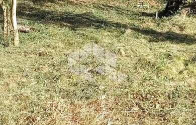 Imagem 11: Excelente terreno amplo com boa frente