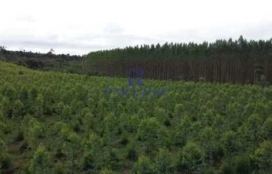 Imagem 15: Fazenda, Centro, Cardeal da Silva - R$ 5 mi, Cod 68601