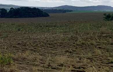 Imagem: A fazenda possui 210m² de Área e está localizado em Ipameri