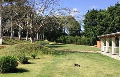 Imagem 2: Chácara à venda, 44800 m² por R$ 4.000.000,00 - Barreiro - Louveira/SP