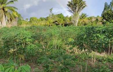 Imagem 7: Terreno para Venda em Porto Seguro, Trancoso