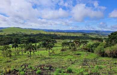 Imagem: O terreno está localizado em Urubici, SC à venda por R$200.000