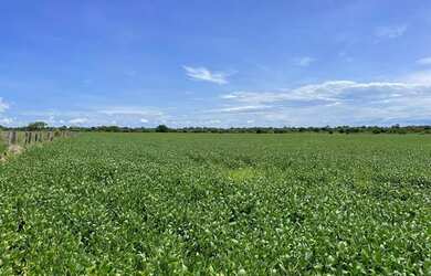 Imagem 3: Fazenda em Formoso do Araguaia