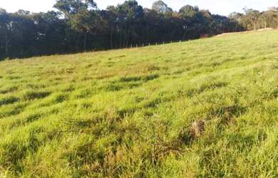 Imagem: A fazenda possui 4.000m² de Área e está localizado em Munhoz