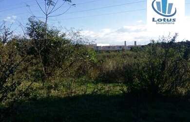 Imagem 10: Ótima área à venda, para condomínio ou galpões, Vargeão, Jaguariúna