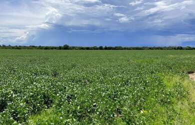 Imagem 5: Fazenda em Formoso do Araguaia