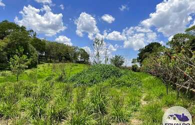 Imagem 11: Terrenos 1000mtrs para chácara em Ibiúna
