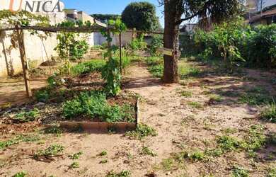 Imagem 4: Terreno à venda, 487,50 m² por R$ 350.000 - Jardim Aeroporto - Paranavaí/PR