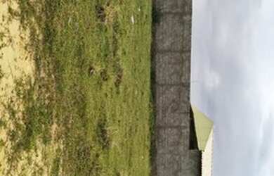 Imagem 11: Terreno grande Esquina em Praia do Abais - 600 metros da beira mar