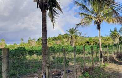 Imagem 1: Terreno para Venda em Porto Seguro, Trancoso