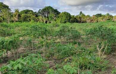 Imagem 10: Terreno para Venda em Porto Seguro, Trancoso