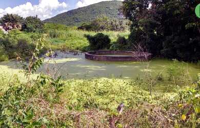 Imagem 3: Fazenda de 147 hectares a 105 km de Fortaleza, toda estruturada para agricultura e pecuári