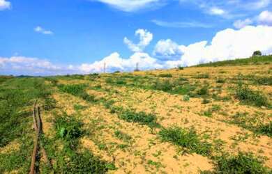 Imagem: O terreno possui 500m² de Área e está localizado em Umuarama