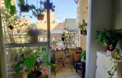 Imagem 2: Apartamento Padrão - Ribeirão Preto - Jardim Paulista