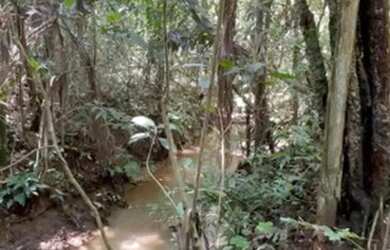Imagem 14: Fazenda 25 Alqueires 39 km de Luziânia 145 km de Goiânia lugar maravilhoso