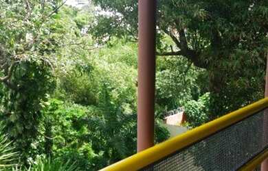 Imagem 10: SALVADOR - Casa de Condomínio - Horto Florestal