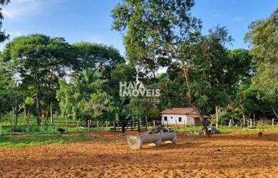 Imagem: A fazenda possui 10m² de Área e está localizado em Carolina