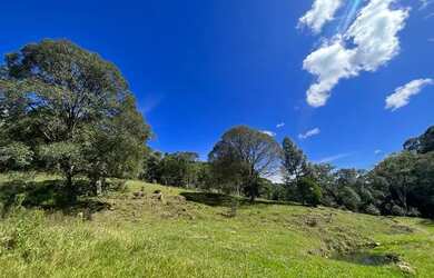 Imagem 9: Terrenos 20.000 m² - Santa Lucia do Piaí - Caxias do Sul