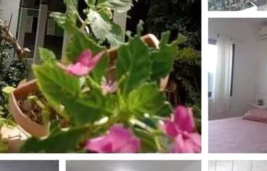 Imagem: O apartamento possui 1 Dormitório e está localizado em Ingleses