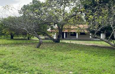 Imagem: A fazenda possui 74.000m² de Área e está localizado em Centro