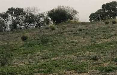 Imagem 3: Lote/Terreno para venda com 500 metros quadrados em Usina - Atibaia -...