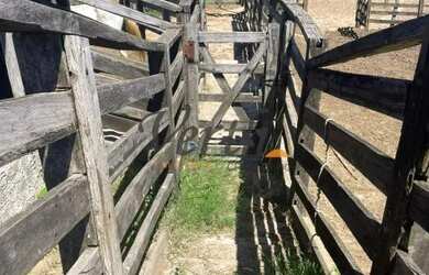 Imagem 4: fazenda - Centro - Montes Claros