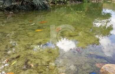 Imagem 12: Casa à venda - Condomínio Verana