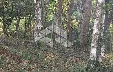 Imagem 3: Excelente terreno amplo com boa frente