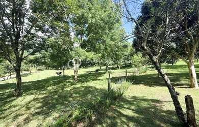 Imagem 2: BELÍSSIMO SÍTIO NA LINHA 28