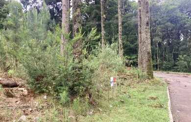 Imagem 10: Terreno - Bairro Dutra. 540m² de Área