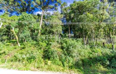 Imagem 5: TERRENO NA VILA SUZANA. 1.122m² de Área