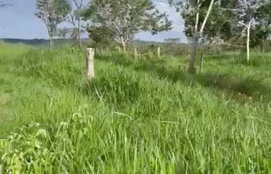 Imagem 3: Vende-se uma excelente fazenda de 1.100 hectares