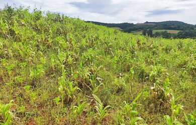 Imagem: Planeje seu futuro em uma região que cresce e valoriza