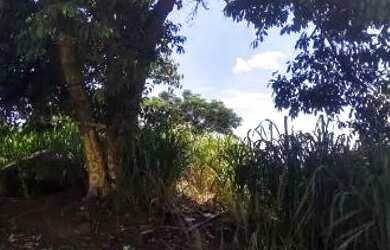 Imagem: O terreno possui 120m² de Área e está localizado em Campo