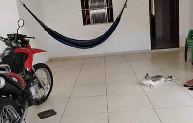 Imagem: A casa possui 2 Dormitórios, 1 Banheiro, 1 Vaga na garagem