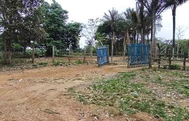 Imagem 3: TERRENO 100M x 42M. 4.200m² de Área