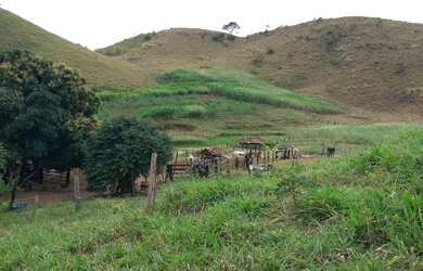 Imagem 2: Vende se Fazenda. 1m² de Área Privada