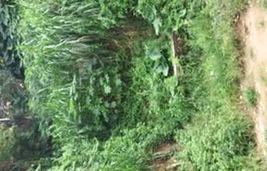 Imagem: O terreno e está localizado em São Marcos, Salvador à venda