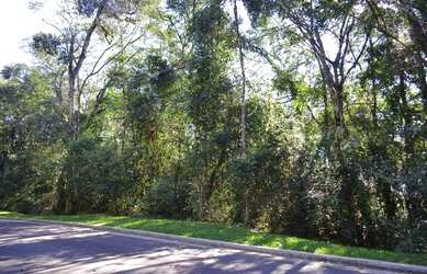 Imagem 3: Terreno à venda, 800 m² por R$ 649.500,00 - Vila Suíça - Gramado/RS