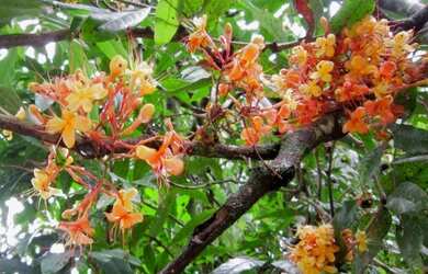 Imagem 12: Excelentes lotes residenciaial em Ilha de Guaratiba, Condomínio novo