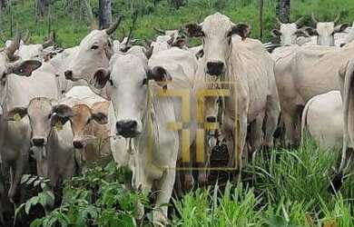 Imagem: A fazenda possui 2.178.000m² de Área e está localizado em