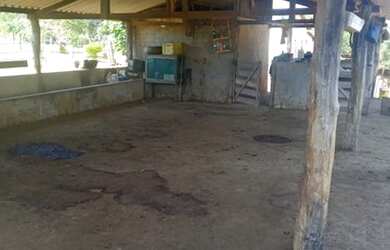 Imagem 3: Fazenda 25 Alqueires 39 km de Luziânia 145 km de Goiânia lugar maravilhoso