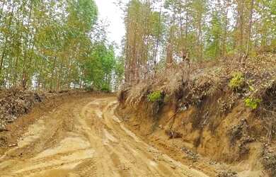 Imagem: A fazenda possui 30000m² de Área e está localizado em Aracê