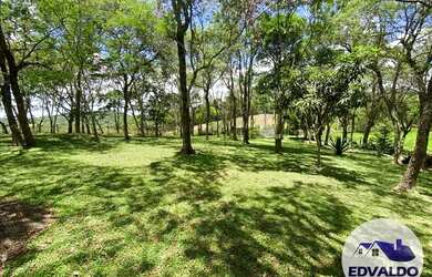 Imagem 13: Terrenos 1000mtrs para chácara em Ibiúna