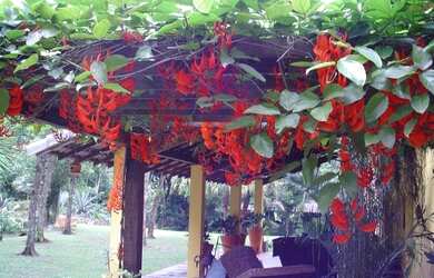 Imagem 6: Excelentes lotes residenciaial em Ilha de Guaratiba, Condomínio novo